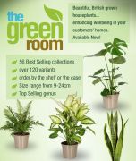 The Green Room houseplant range from Farplants